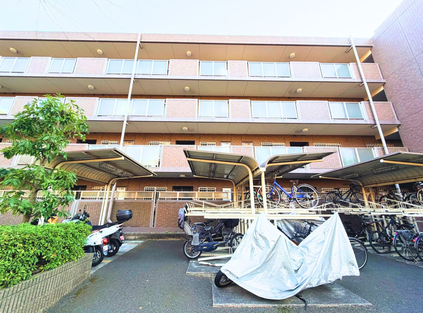 サングレイス能見台南