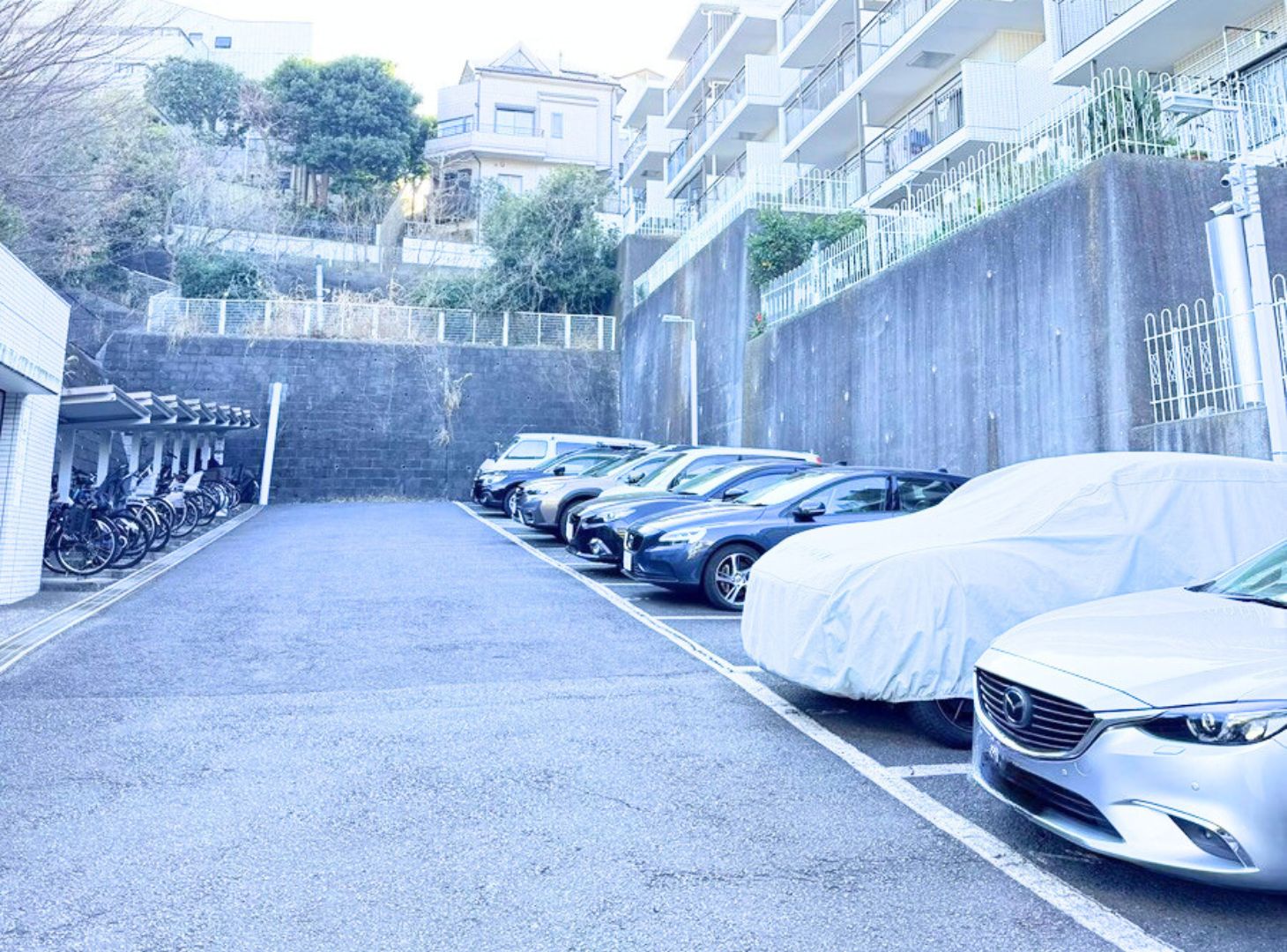 ライネスハイム京急富岡