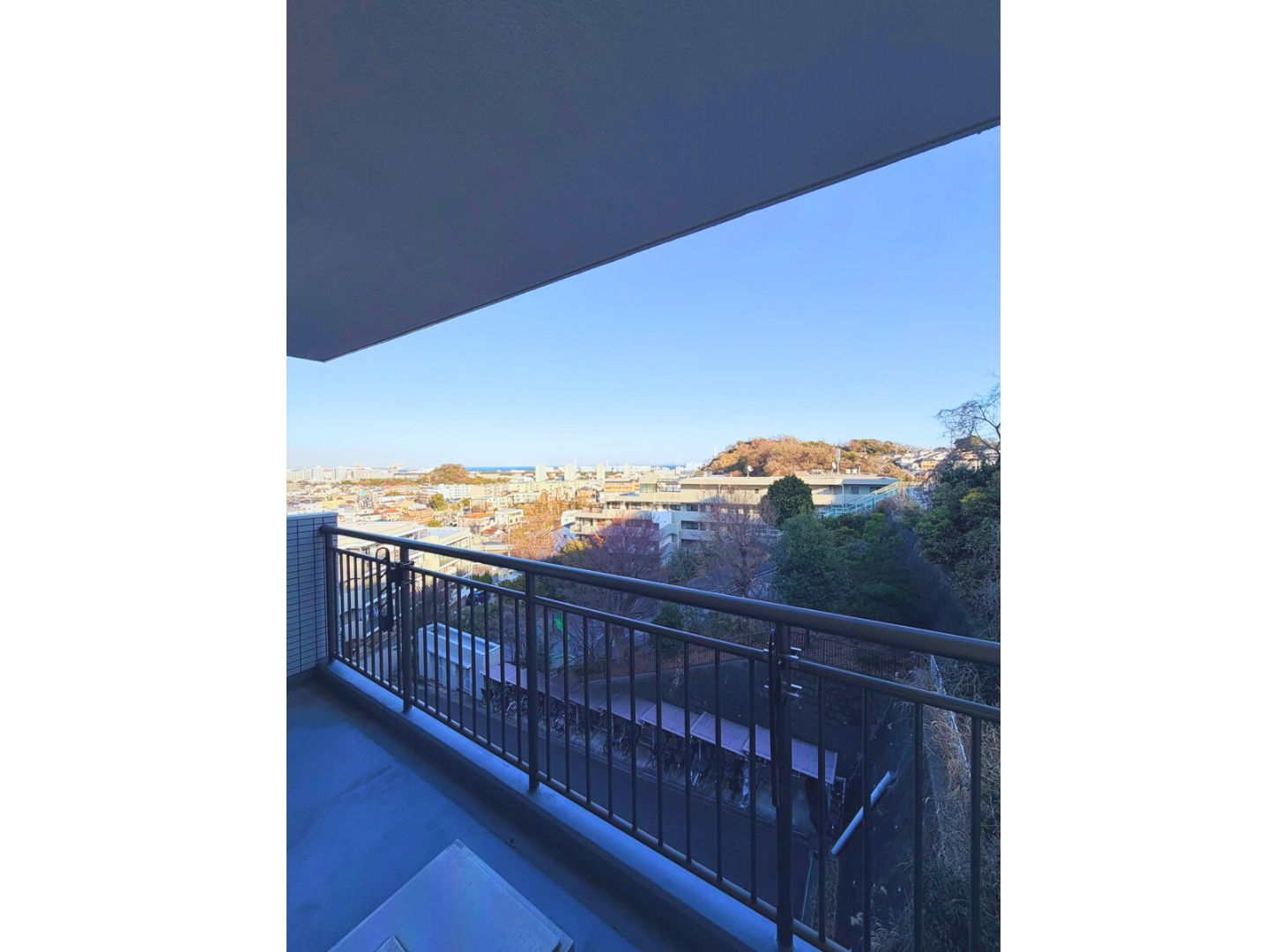 ライネスハイム京急富岡